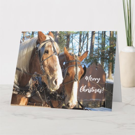 スターブリッジ村のクリスマスカード:冬の馬 カード (正面)