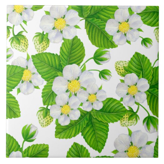 スターベリーガーデン2 タイル (正面)