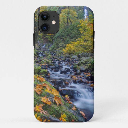 スターベーションクリーク滝沿いの秋の色 Case-Mate iPhoneケース (裏面)