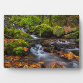 スターベーション・クリーク・フォールズ | オレゴン州コロンビア・ゴージ フォトプラーク (正面)