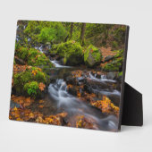 スターベーション・クリーク・フォールズ | オレゴン州コロンビア・ゴージ フォトプラーク (側面)