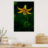 スターポーズプリント ポスター (キッチン)