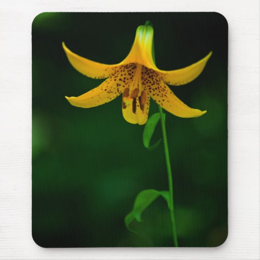 スターポーズマウスパッド マウスパッド (正面)