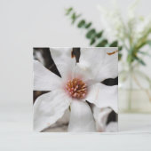 スターマグノリアカード シーズンカード (スタンド正面)