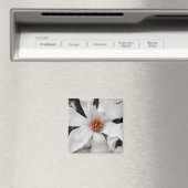 スターマグノリアクローズアップマグネット マグネット (インサイチュ (食洗機))