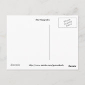 スターマグノリア葉書 ポストカード (裏面)