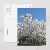 スターマグノリア葉書 ポストカード (正面/裏面)