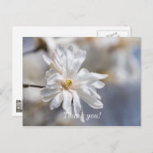 スターマグノリア開花サンキューハガキ ポストカード (正面/裏面)