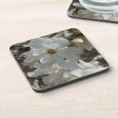 スターマグノリア開花 コースター (左側)