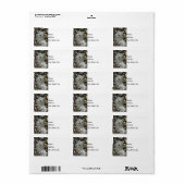 スターマグノリア開花 ラベル (フルシート)