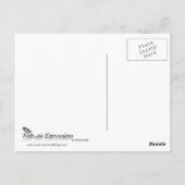 スターモダンズ&ストライプフォーエバーフラグメモリアルデー ポストカード (裏面)