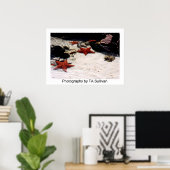 スターライトスターブライトバイタレリー ポスター (ホームオフィス)