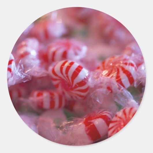 スターライトミンツホリデーカードとシール ラウンドシール (正面)