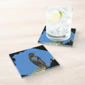 スターリングサグアーロサボスビューティフルサウスウエストバード ガラスコースター (アングル)