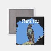 スターリングサグアーロサボスビューティフルサウスウエストバード マグネット (正面/裏面)