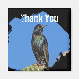 スターリングサグアーロサボスビューティフルサウスウエストバード マグネット