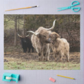 スターリングスカイ 薄葉紙 (クラフト)