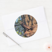 スターリングバードシール ラウンドシール (封筒)