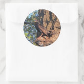 スターリングバードシール ラウンドシール (バッグ)