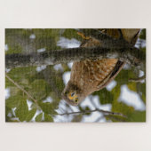 スターリングバード、トロピカルベリーズ道端ホーク ジグソーパズル (横)