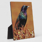 スターリング鳥の写真 フォトプラーク (側面)