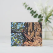 スターリング鳥はがき ポストカード (スタンド正面)