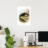 スターリング ポスター (ホームオフィス)