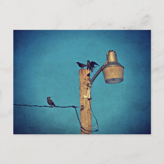 スターリング ポストカード (正面)