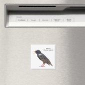 スターリング マグネット (インサイチュ (食洗機))