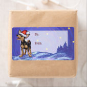 スターリーナイトフェスティバルチワホアインサンタハット ラベル (インサイチュ)