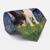 スターリーナイト – ベーグル ネクタイ (ロール)