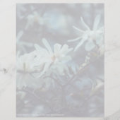 スターリーマグノリア3172 (正面)