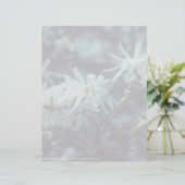 スターリーマグノリア3172 (スタンド正面)