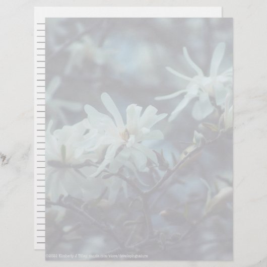 スターリーマグノリア3172 (正面/裏面)