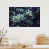 スターリーマグノリア3172 ポスター (キッチン)