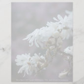 スターリーマグノリア5780 (正面)