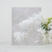 スターリーマグノリア5780 (スタンド正面)