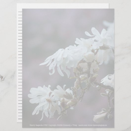 スターリーマグノリア5780 (正面/裏面)