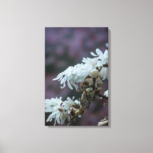 スターリーマグノリア5780 キャンバスプリント (正面)