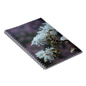 スターリーマグノリア5780 ノートブック (右側)