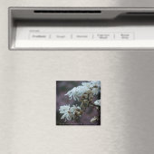 スターリーマグノリア5780 マグネット (インサイチュ (食洗機))