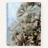 スターリーマグノリア5781 ノートブック (正面)