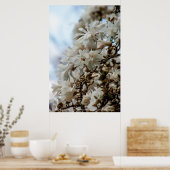 スターリーマグノリア5781 ポスター (キッチン)