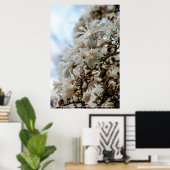 スターリーマグノリア5781 ポスター (ホームオフィス)