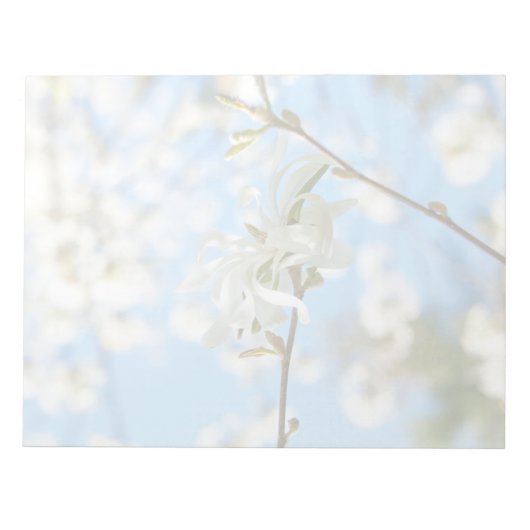 スターリーマグノリア6490 ノートパッド (正面)