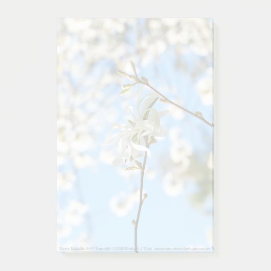 スターリーマグノリア6490 ポストイット (正面)