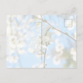 スターリーマグノリア6490 ポストカード (裏面)