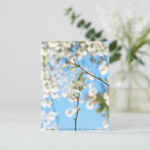 スターリーマグノリア6490 ポストカード (スタンド正面)