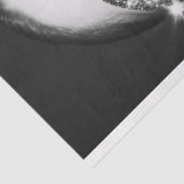 スターリーライン石サングラスデコップページ 薄葉紙 (詳細)