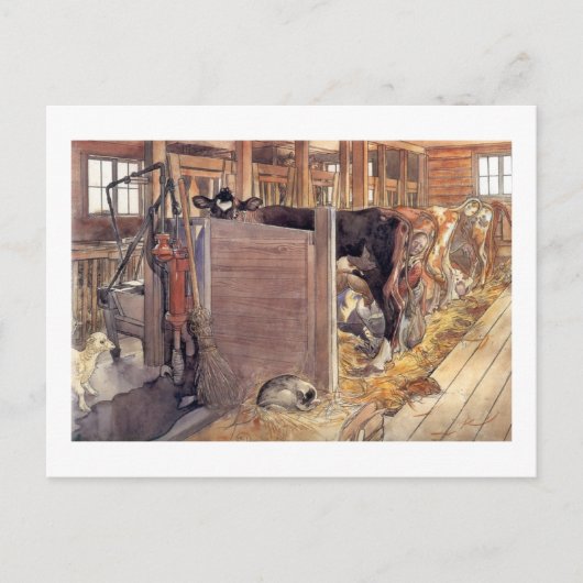 スタールドまたは1904年安定 ポストカード (正面)